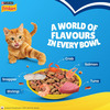 Purina Friskies Seafood Sensations Adult Dry Cat Food | 6Kg
