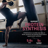 Muscletech Phase 8 Protein 4.5Lb (2.04 Kg)