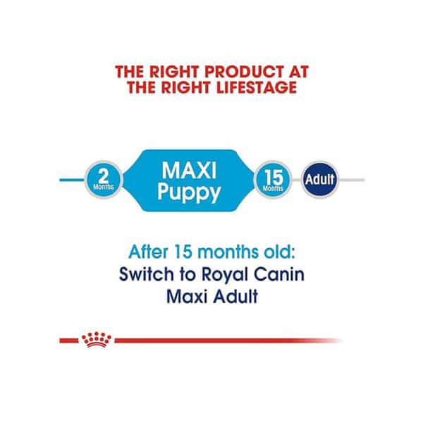 Royal Canin Maxi Puppy Food | 4 Kg | Dry Food | Supports Immune System & Digestive Health