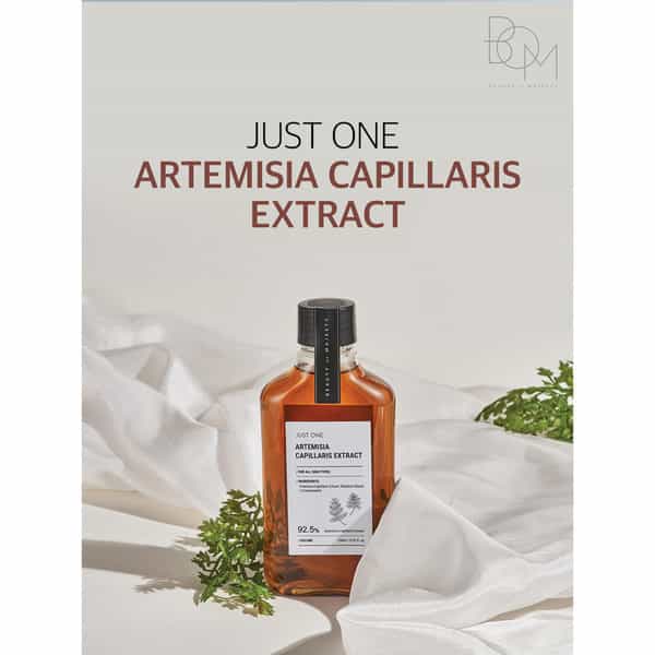 B.o.m Just One Artemisia Capillaris Extract - Facial Toner With 100% Herbal Extract - 150Ml