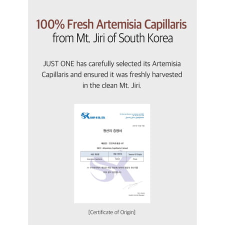 B.o.m Just One Artemisia Capillaris Extract - Facial Toner With 100% Herbal Extract - 150Ml
