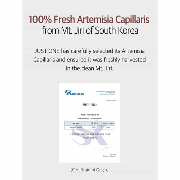 B.o.m Just One Artemisia Capillaris Extract - Facial Toner With 100% Herbal Extract - 150Ml