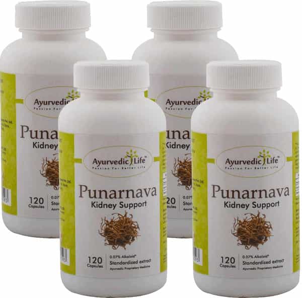 Ayurvedic Life Punarnava 120 Capsules - Pack Of 4 Natural