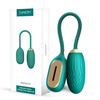 Gizmoswala Wireless Audio Interactive Vibrator | Savkom Natalya