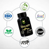 Fij Ayurveda Premium Shilajit/Shilajeet Extract Capsule|Strength & Stamina - 500mg 60 Nos | 2 Pack