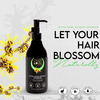 Crazy Owl Witch Hazel Extract Shampoo And Conditioner Combo Pack - Protects And Hydrates