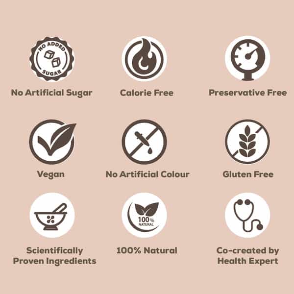 Sheneed Plant Based Daily Womens Protein Drink With 21+ Nutrients For Women -300Gm