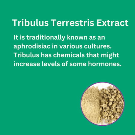 Fitness Veda Testosterone Supplement For Men | With Tribulus Terrestris & Safed Musli - 60n