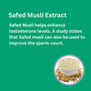 Fitness Veda Testosterone Supplement For Men | With Tribulus Terrestris & Safed Musli - 60n