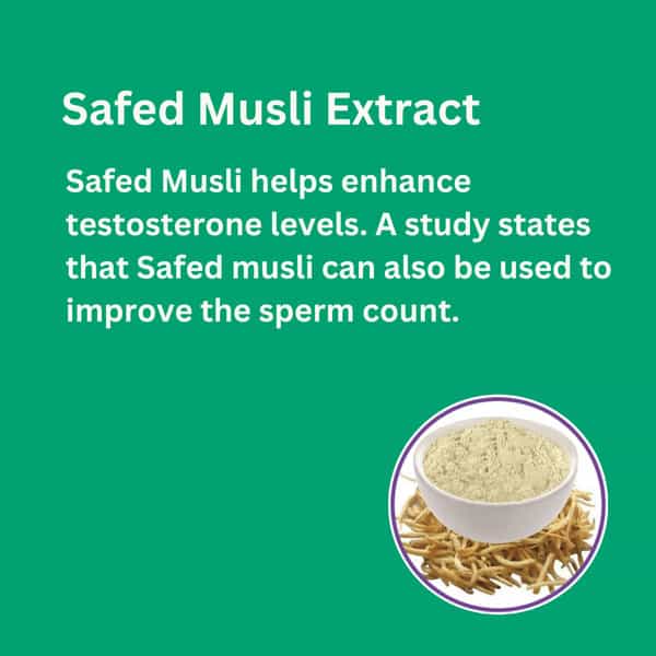 Fitness Veda Testosterone Supplement For Men | With Tribulus Terrestris & Safed Musli - 60N