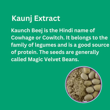 Fitness Veda Testosterone Supplement For Men | With Tribulus Terrestris & Safed Musli - 60n