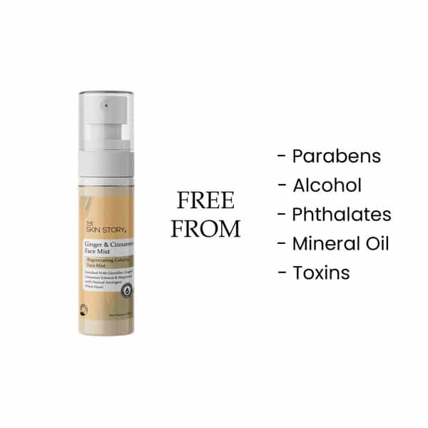 The Skin Story Ginger Cinnamon Calming Face Mist With Magnesium For Primple Acne Prone Skin 100Ml