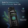 Nutrabay Wellness Pre & Probiotic Digestive Support 25 Billion Cfus - 60 Veg Capsules