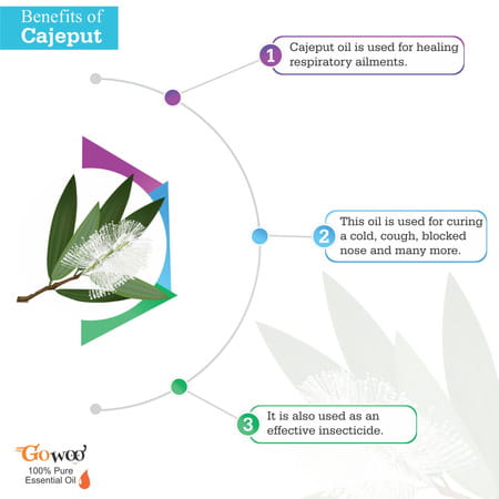 Pack Of 2 Cajeput Essential Oil And Papaya Seed Carrier Oil - 100% Pure & Natural Oil