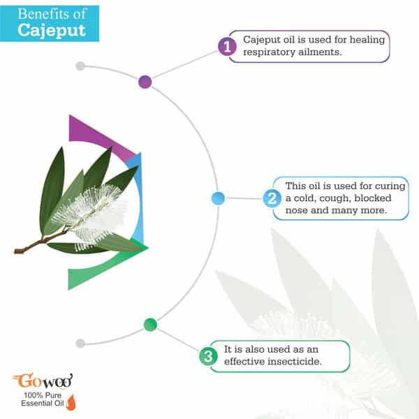 Pack Of 2 Cajeput Essential Oil And Papaya Seed Carrier Oil - 100% Pure & Natural Oil