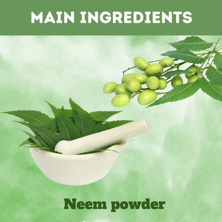 Ayurvedic Life Neem Patra Powder - 1 Kg Value Pack Of 4
