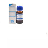 Sbl Gelsemium Sempervirens Mother Tincture Q 30 Ml Pack Of 2