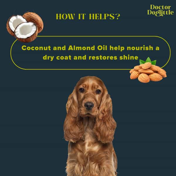 Doctor Doglittle Probiotic Dog Coat Smoothening 2-In-1 Shampoo & Conditioner (300 Ml)
