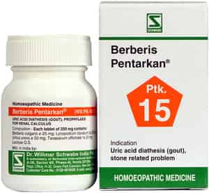Dr. Willmar Schwabe India Berberis Pentarkan Ptk. 15 Tablet