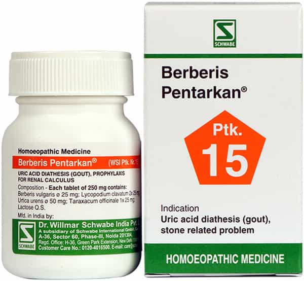Dr. Willmar Schwabe India Berberis Pentarkan Ptk. 15 Tablet