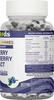 Purefoods - Immunity Booster Gummies Made With Blueberry & Elderberry Extracts (30 Gummies)