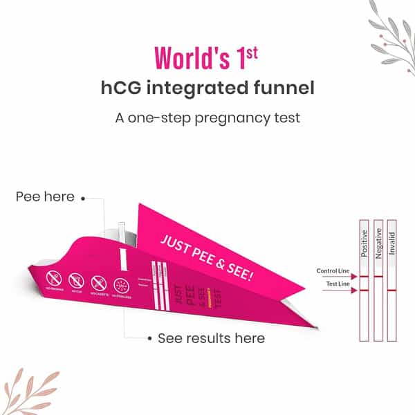 Pee Buddy Pregrx Pregnancy Test Strips In Funnel - 3 Funnels