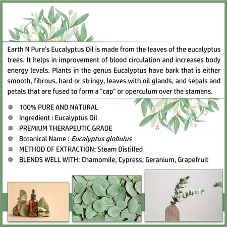 Earth N Pure Eucalyptus Essential Oil (15 Ml) (15 Ml)