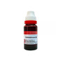 Dr. Reckeweg Yohimbinum 20Ml Mother Tincture Q