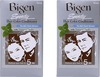 Bigen Speedy Hair Color Dark Brown 883 80g (Pack Of 2)