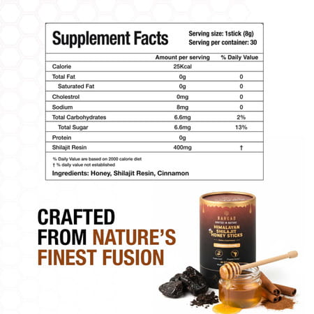 Bargad Himalayan Shilajit Honey Sticks - Cinnamon Flavor | Fulvic Acid & Organic Honey - 30n