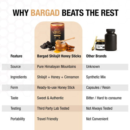 Bargad Himalayan Shilajit Honey Sticks - Cinnamon Flavor | Fulvic Acid & Organic Honey - 30n