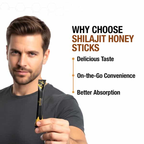 Bargad Himalayan Shilajit Honey Sticks - Cinnamon Flavor | Fulvic Acid & Organic Honey - 30N