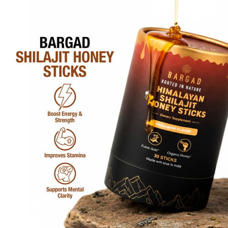 Bargad Himalayan Shilajit Honey Sticks - Cinnamon Flavor | Fulvic Acid & Organic Honey - 30n