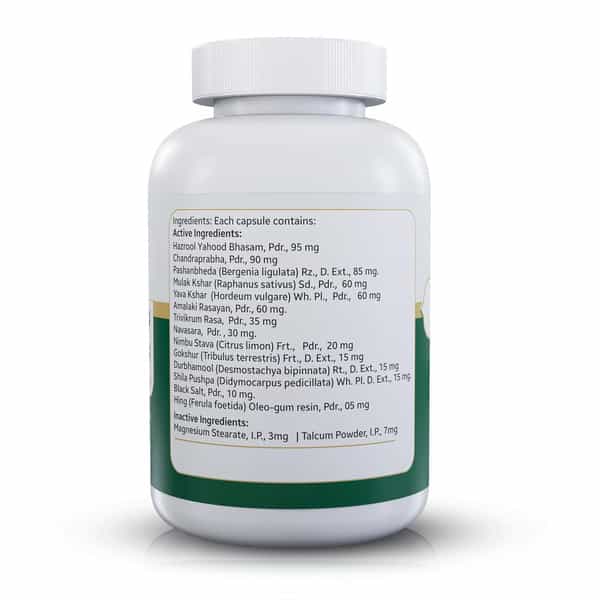Jeena Sikho Nefron Plus/Kidney Care Capsules | Herbal Kidney Wellness | 60 Capsules