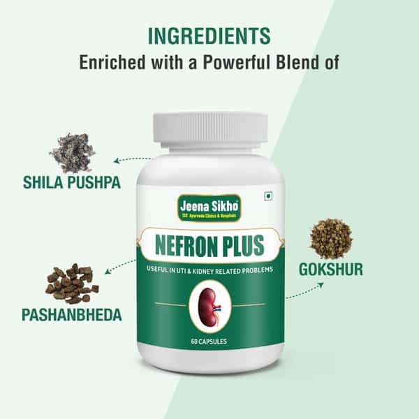Jeena Sikho Nefron Plus/Kidney Care Capsules | Herbal Kidney Wellness | 60 Capsules