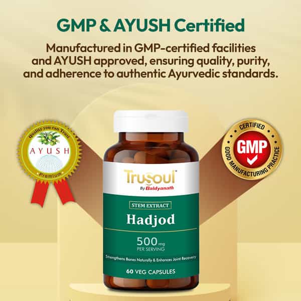 Baidyanath Trusoul Hadjod Capsules 60S | Bone & Joint Wellness