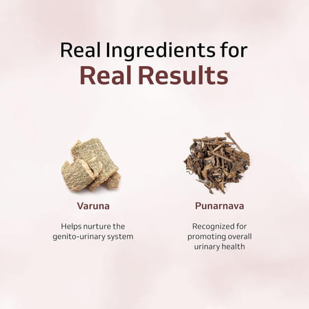 Purely Yours Prost Plus Capsules For Men For Frequent Urination And Enlarged Prostate - 60 Capsules