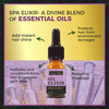 Indus Valley 100% Organic Hair Colour & Spa With Essential Oil- Soft Black
