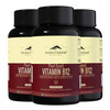 Rasayanam Plant-Based Vitamin B12 | Energy | Nerve & Brain Health | 60 Capsules (Pack Of 3)