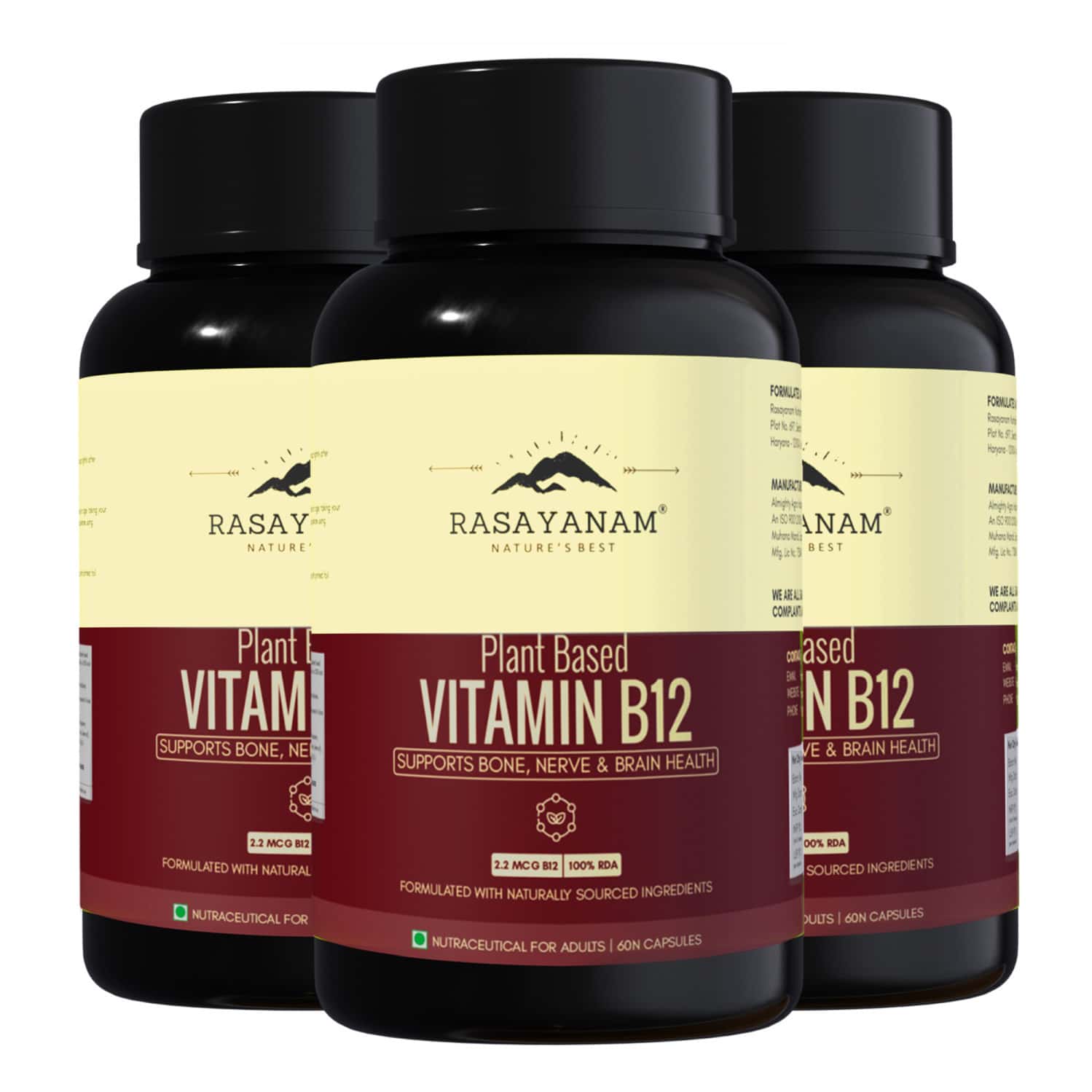 Rasayanam Plant-based Vitamin B12 | Energy | Nerve & Brain Health | 60 Capsules (pack Of 3)