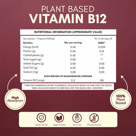 Rasayanam Plant-Based Vitamin B12 | Energy | Nerve & Brain Health | 60 Capsules (Pack Of 3)