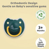 R For Rabbit Tusky Pacifier-M Green
