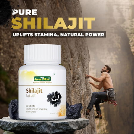 Jeena Sikho Shilajit Tablets |Herbal Supplement For Strength | Stamina And Power | 60 Tablets