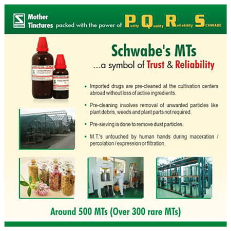 Dr. Willmar Schwabe India Arnica Montana Mother Tincture Q 30 Ml