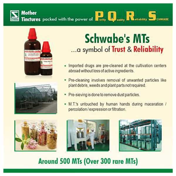 Dr. Willmar Schwabe India Arnica Montana Mother Tincture Q 30 Ml