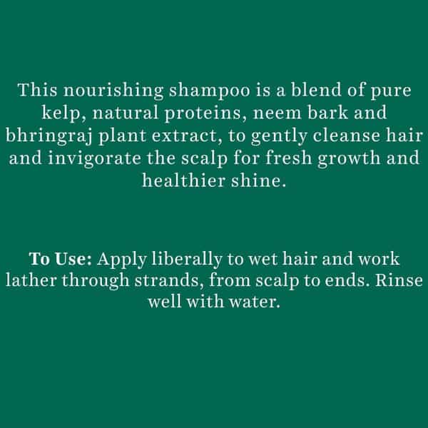 Biotique Bio Ocean Kelp Anti Hair Fall Shampoo Intenstive Hair Growth Therapy | 650Ml