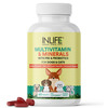 Inlife Multivitamin For Dog | Ginseng, Prebiotic, Probiotic Multivitamins, Zinc & Biotin, 60 Tablets