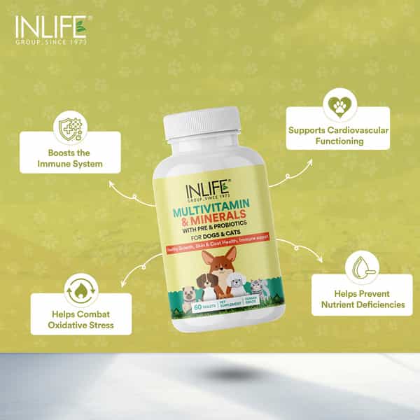 Inlife Multivitamin For Dog | Ginseng, Prebiotic, Probiotic Multivitamins, Zinc & Biotin, 60 Tablets