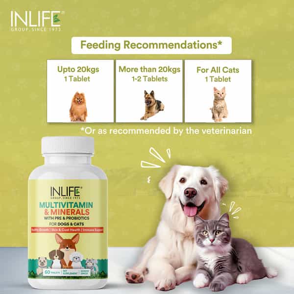 Inlife Multivitamin For Dog | Ginseng, Prebiotic, Probiotic Multivitamins, Zinc & Biotin, 60 Tablets