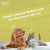 Inlife Multivitamin For Dog | Ginseng, Prebiotic, Probiotic Multivitamins, Zinc & Biotin, 60 Tablets